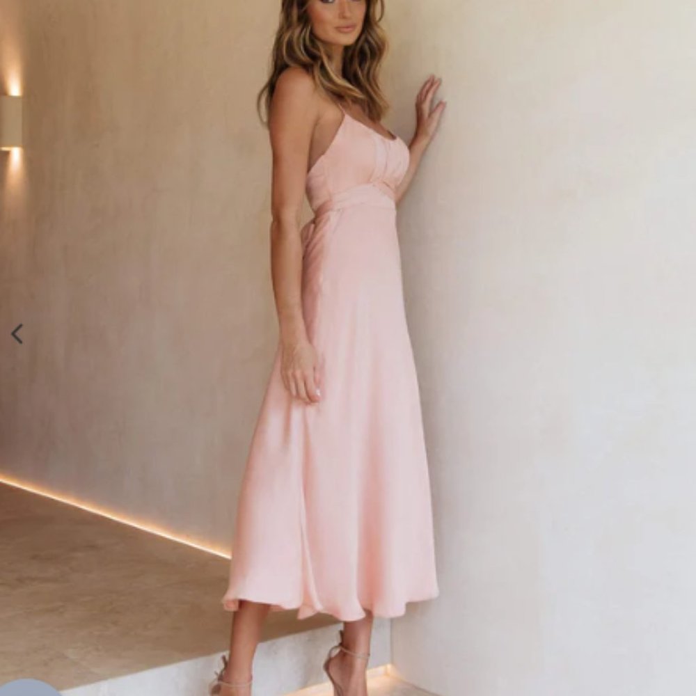 Petal & Pup Hermonie Dress in Blush